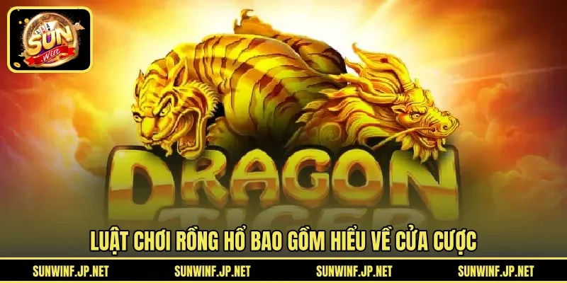 Luật chơi Rồng Hổ bao gồm hiểu về cửa cược 