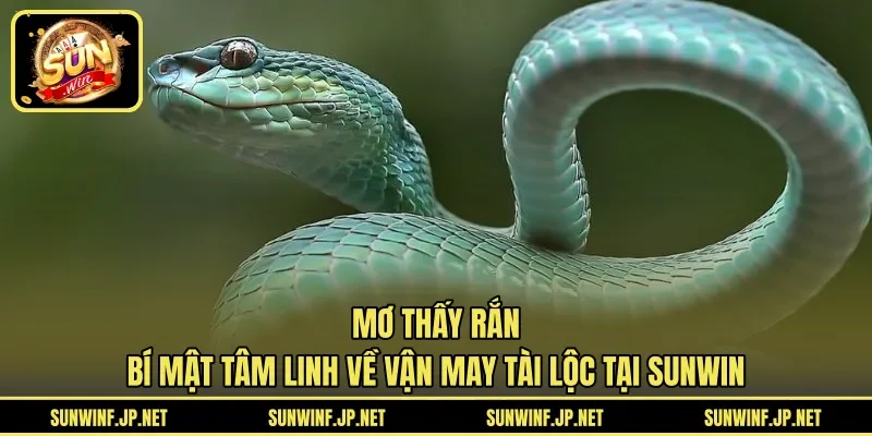Mơ Thấy Rắn | Bí Mật Tâm Linh Về Vận May Tài Lộc Tại SUNWIN